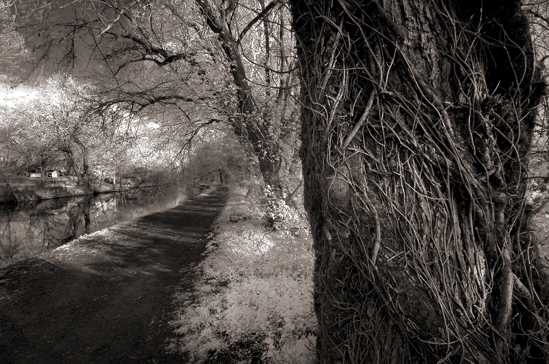 Canal Pathway Schuylkill River Canal, Montclair, PA � Dave Hickey